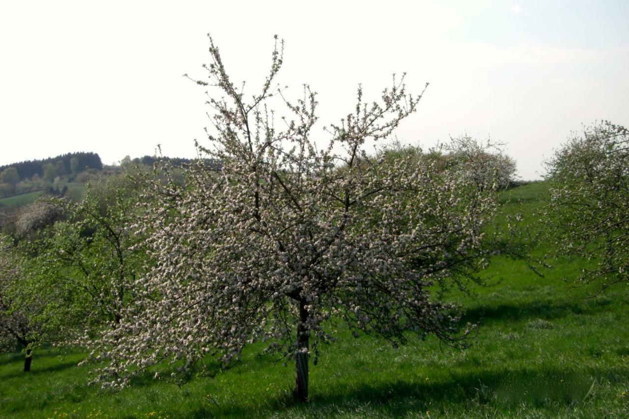 Ferienwohnung Kuhn Rhumspringe Екстериор снимка